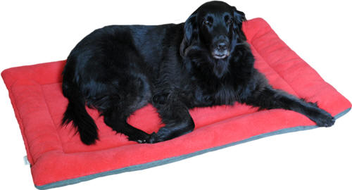 エコナップ　犬のベッド