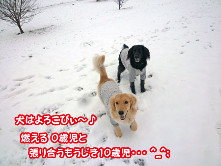 20110215-03.jpg