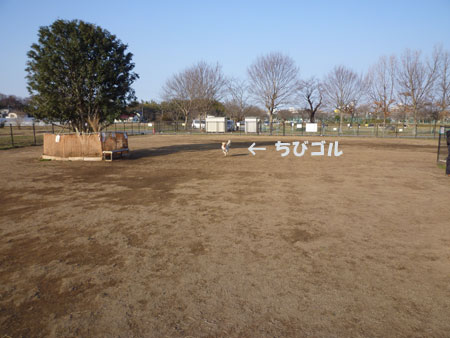 20110226-01.jpg