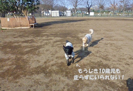 20110226-02.jpg