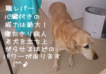 20120309-03.jpg