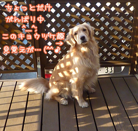 20130309.jpg