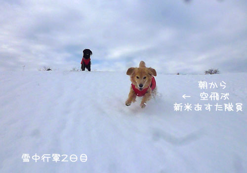 20140209-05.jpg