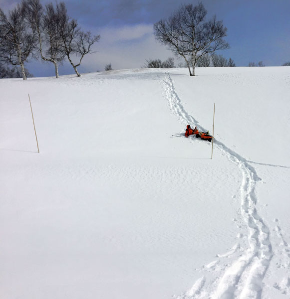 犬連れ雪遊び 菅平 スノーシューハイク sgt05.jpg