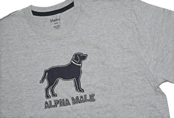 カナダ　ハットレイ　Tシャツ　alpha　グレー