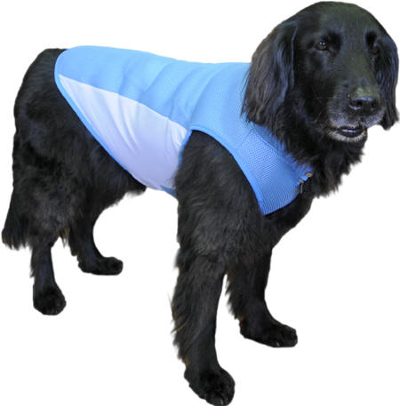 BW クールシャツ 中・大型犬用 ひえひえグッズ 夏の熱対策に 冷え冷え犬服 「あいんどっく」