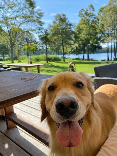 �w������ǂ����x�X�^�b�t���@�����ȁ@(asuna)�@�S�[���f���@���g���[�o�[