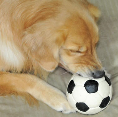 LANCO サッカーボール（LLサイズ