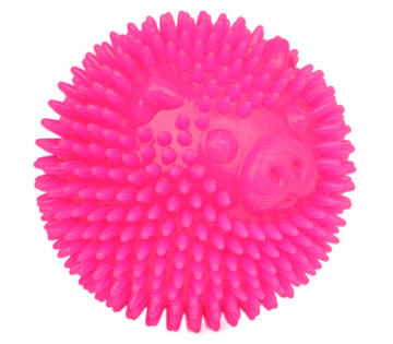 FDポップパルボール（Pig