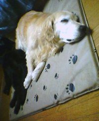 20060710_2042_0000.jpg