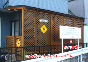 t021.jpg