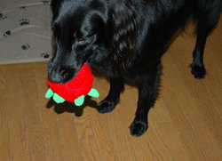 20070725-1.jpg