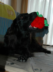 20070725-2.jpg