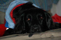 20060729-2.jpg