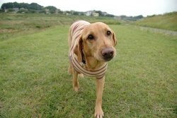 20060802.jpg