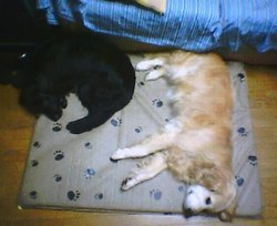 20060805.jpg