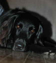 20060805.jpg