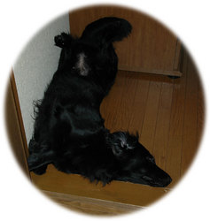 20060806.jpg