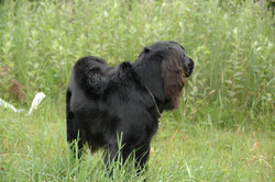 20060815.jpg
