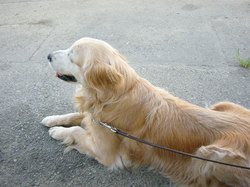 20060819.jpg