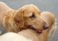 20060821-2.jpg