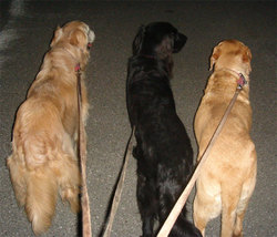 20060821-n.jpg