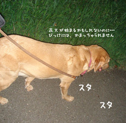 20060822-n2.jpg