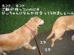 20060822-n3.jpg
