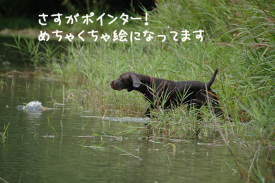 nagano_02.jpg