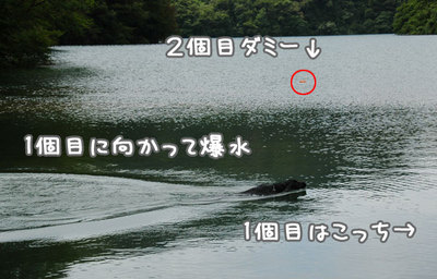 nagano_05.jpg