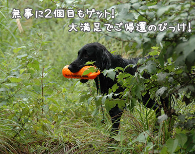 nagano_06.jpg