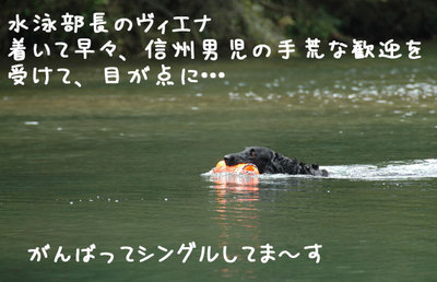 nagano_07.jpg