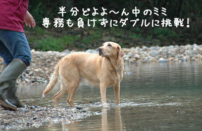 nagano_08.jpg