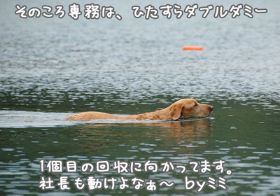 nagano_10.jpg