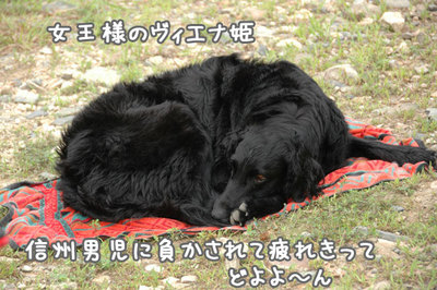 nagano_11.jpg