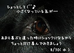 20060830.jpg