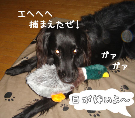 20060901-1.jpg