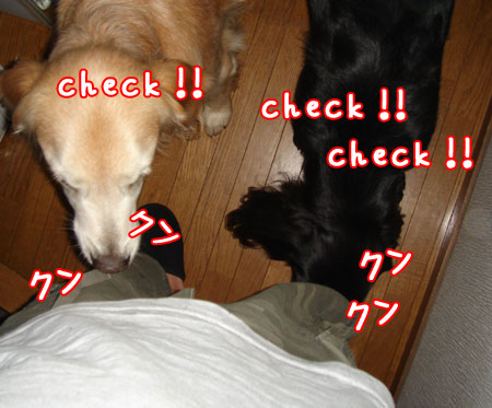 20060902-2.jpg