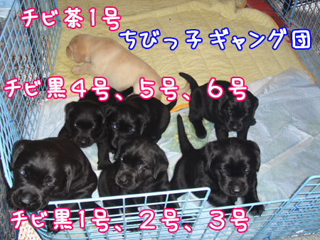 20060902.jpg