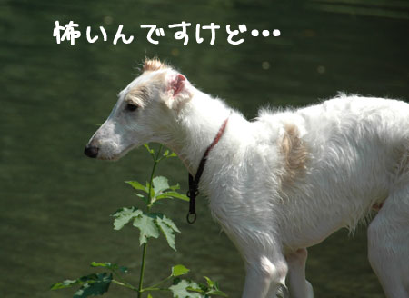 20060903-10.jpg