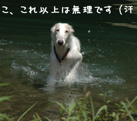 20060903-11.jpg