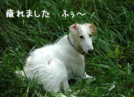 20060903-12.jpg