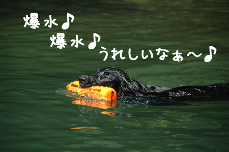 20060903-2.jpg