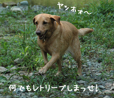 20060903-5.jpg