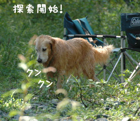 20060903-6.jpg