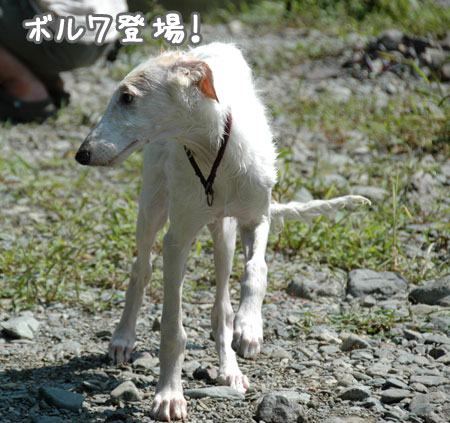20060903-7.jpg