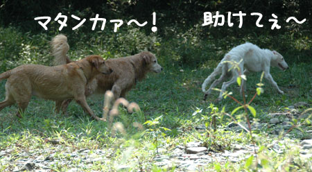 20060903-8.jpg