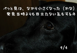 20060904-3.jpg