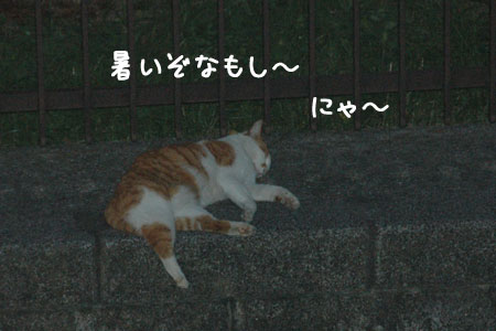 20060905-1.jpg