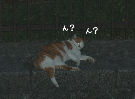 20060905-2.jpg